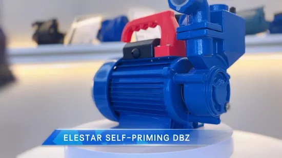 dB Single Stage Pumps Structure Electric Motor Power Qb60 Peripheral Water Pump